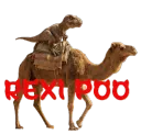 rexi poo 