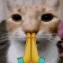 CatPray