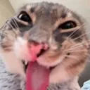 𝓯𝓻𝓮𝓪𝓴𝔂 