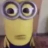 minion stare