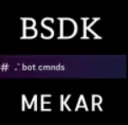 Bot cmd