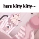 here kitty