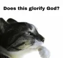 GlorifyGod?