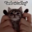 cat hug