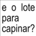 E o lote? Nada ainda?