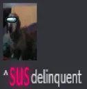SUS delinquent