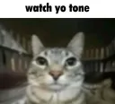 watch yo tone