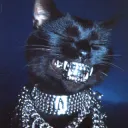 kitty bling