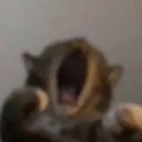 FB_Pain_and_Suffering 