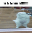 hi