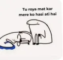 tu roya mat kar hasi aati h