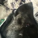 Side Eye /honeyhuddle