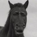 Honse