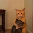 Cat choke 