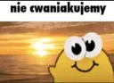 nie cwaniakuj