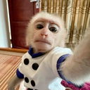 selfie