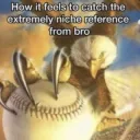 Catching reference