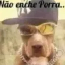naoenche