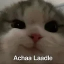 Acha ladle 