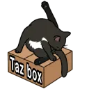 Taz Box