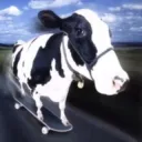 Vroom