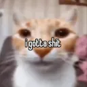 I gotta