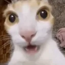 Shocked