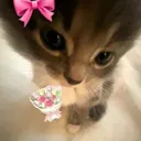 Luvu