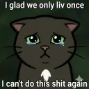 Can't do this shit again