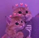 cute_hug