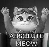 Absolute Meow Absolute Meow