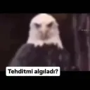 tehditmi algıladı