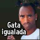 Gata igualada 