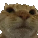 Non_PR