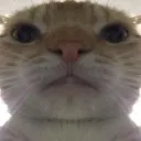 uhu