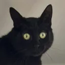 miushocked