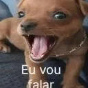 eu vou falar