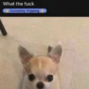 🤞 Currently tripping 🤞