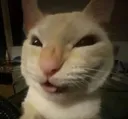 OUGGH WHAT IS THAT | gg/fluffs