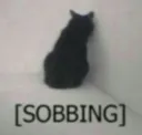 sobbing