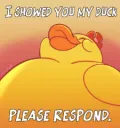 Duck Showing