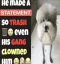 trash_statement