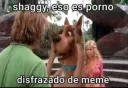 Shaggy