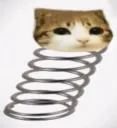 cat coil