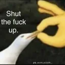 Shut the fuck up!!!
