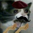 Mama mia Italian Cat