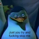 Just you try and stop me 