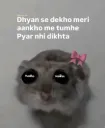Hawasi Huu