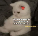 gussa mt ho