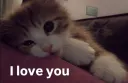 I love you